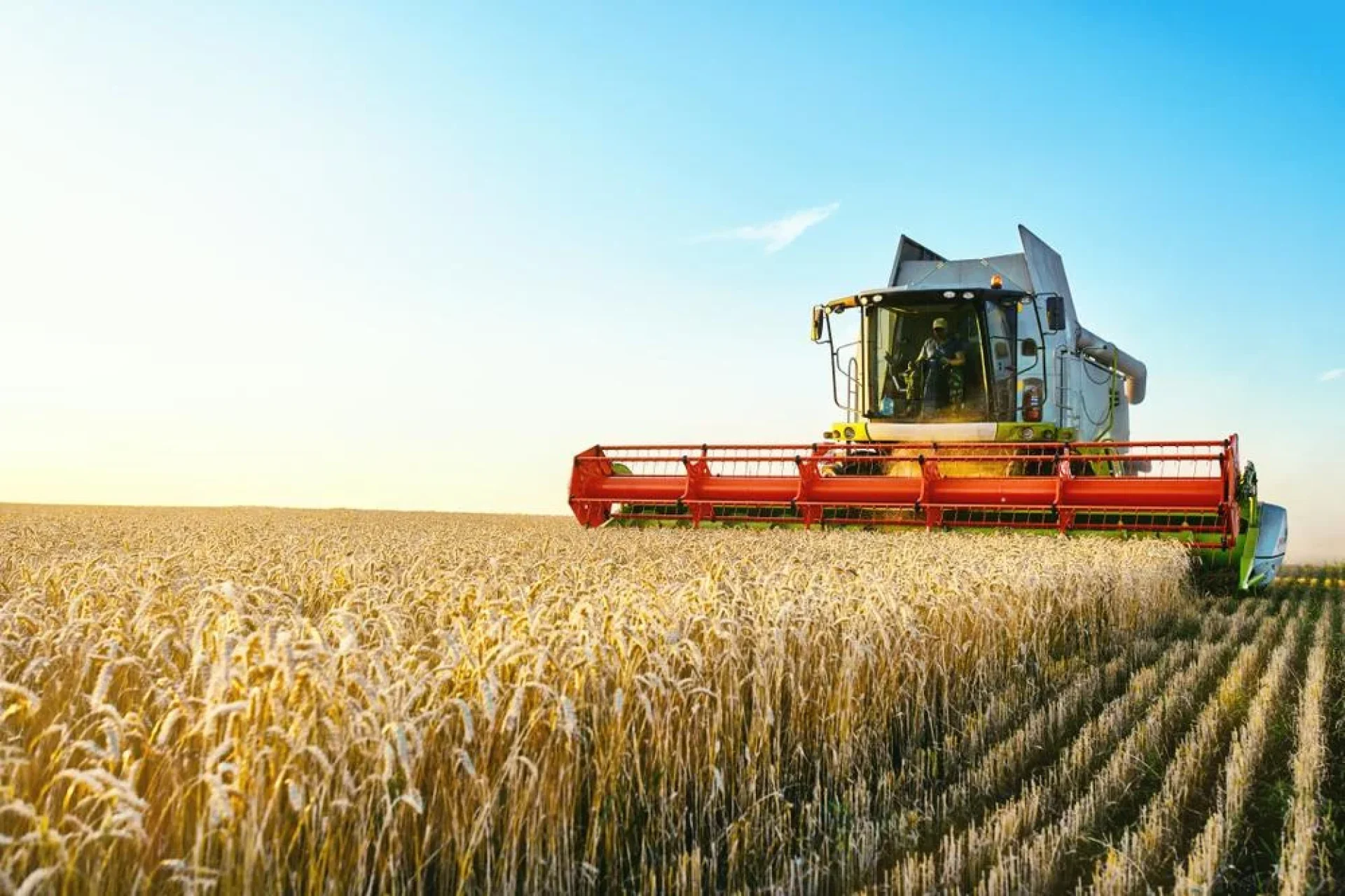 Agricultural Machinery and Equipment Industry